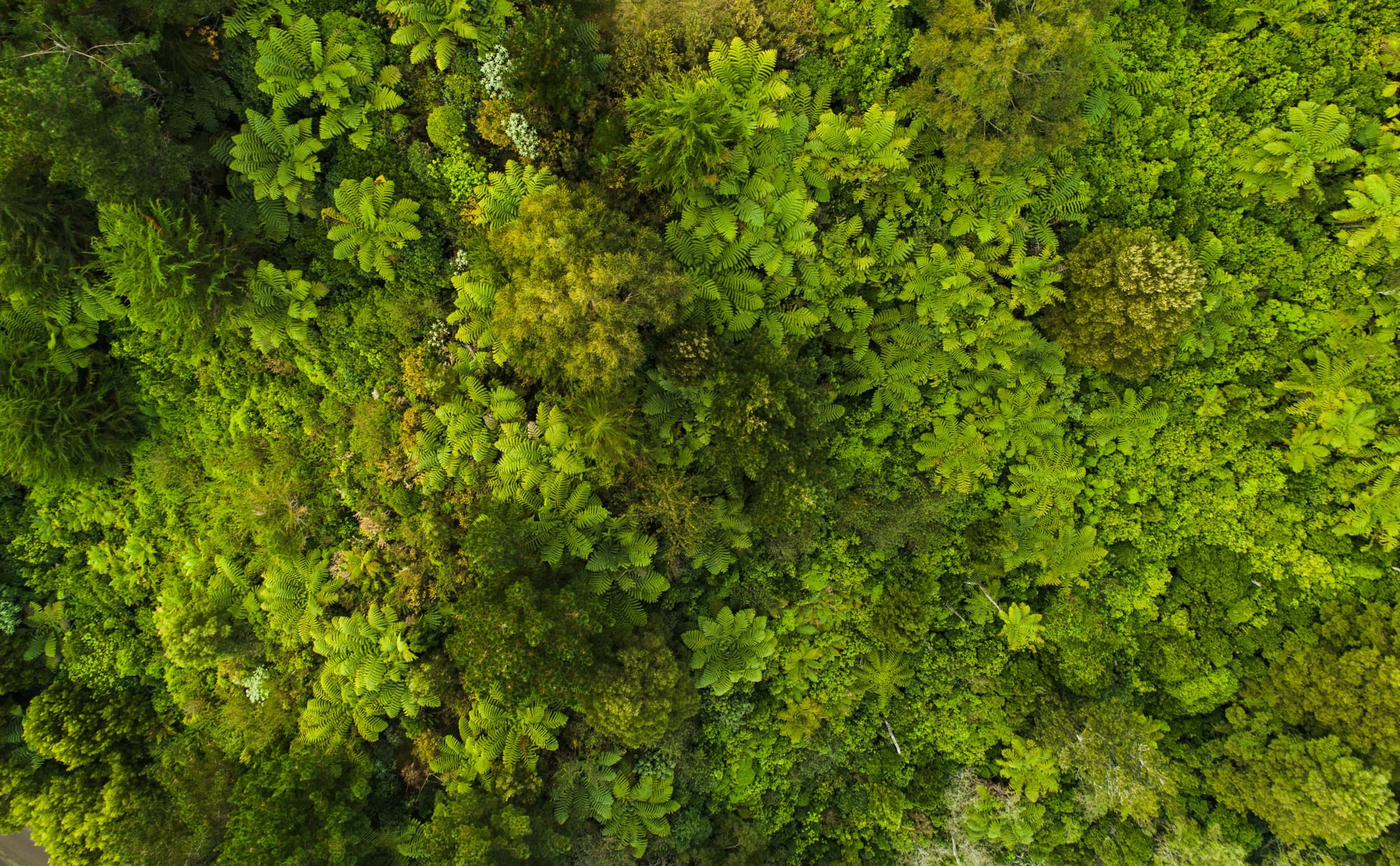 What is Ethical Growth?