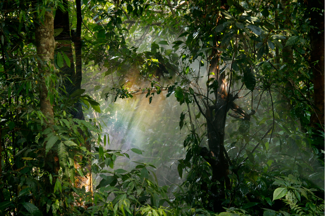 What is Ethical Growth?