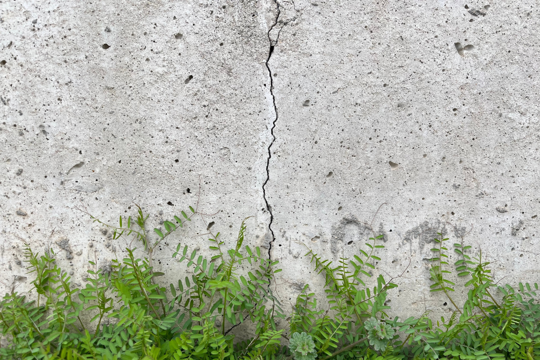 What is Ethical Growth?
