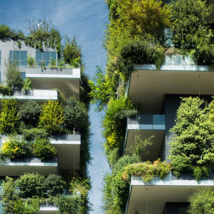 What is Ethical Growth?