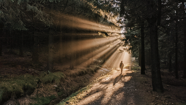 Focus brings clarity: on Resistance, Choice and Collective action in the tech world